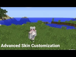 Обзор мода Advanced Skin Customization