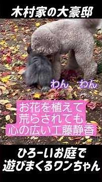 A heartwarming time with the Kimura family #shorts #Kudo Shizuka #Kimura family #Kimura Takuya