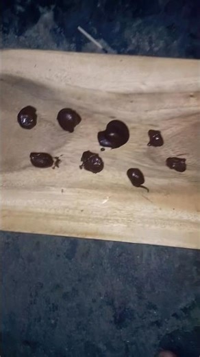 cholate unique recipe cooking with me 🤗🥲😗😍🙃😙☺️😇☺️😍🙃🥲☺️🤗😗😋😘