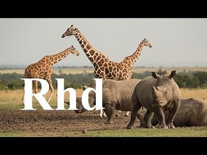 Zebra, Rhino, Giraffe, Crocs, Waterberg, (part 2) Nature 2018 HD Documentary.