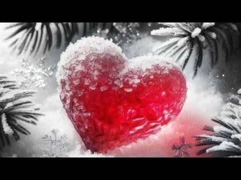 ☕️☕️☕️☕️