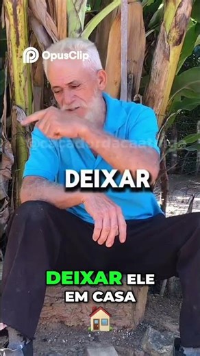 Cachorro Autodidata Treinamento Natural Incrível Revelado!