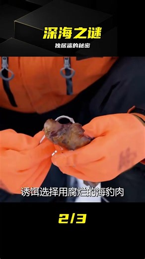Jeremy's investigation of Greenland sharks in Norway reveals a previously unknown side of them. #...