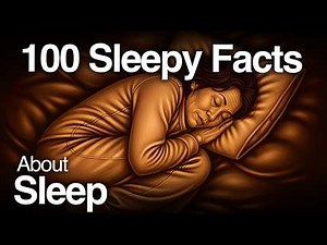 The Most Relaxing Facts About Sleep to Fall Asleep To