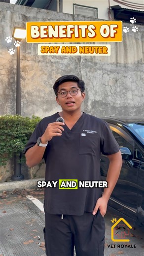 Benefits of Spay and Neuter ✂️🐶🐱| Mini Vlog #6 🐾💛 𝐂𝐡𝐨𝐨𝐬𝐢𝐧𝐠 𝐭𝐨 𝐬𝐩𝐚𝐲 𝐨𝐫 𝐧𝐞𝐮𝐭𝐞𝐫 𝐲𝐨𝐮𝐫 𝐩𝐞𝐭𝐬 𝐢𝐬 𝐚 𝐥𝐨𝐯𝐢𝐧𝐠 𝐚𝐧𝐝 𝐫𝐞𝐬𝐩𝐨𝐧𝐬𝐢𝐛𝐥𝐞 𝐝𝐞𝐜𝐢𝐬𝐢𝐨𝐧 𝐭𝐡𝐚𝐭 𝐛𝐞𝐧𝐞𝐟𝐢𝐭𝐬 𝐧𝐨𝐭 𝐨𝐧𝐥𝐲 𝐲𝐨𝐮𝐫 𝐟𝐮𝐫𝐫𝐲 𝐜𝐨𝐦𝐩𝐚𝐧𝐢𝐨𝐧𝐬 𝐛𝐮𝐭 𝐚𝐥𝐬𝐨 𝐲𝐨𝐮𝐫 𝐡𝐨𝐦𝐞 𝐚𝐧𝐝 𝐜𝐨𝐦𝐦𝐮𝐧𝐢𝐭𝐲. 🐾 Better Companionship Spayed and neutered pets tend to be more affectionate and well-behaved, strengthening the bond you share. 🐾 Reduced Undesirable Behaviors Neut