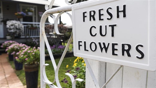 ‘Unusual, different’: Inside Toowoomba’s most unique gardens