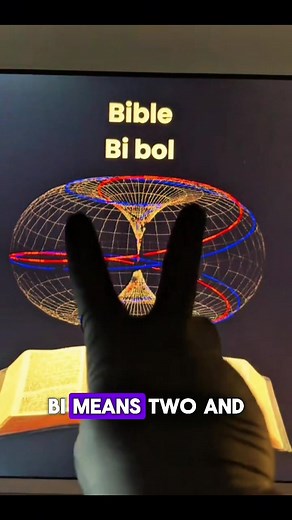 Understanding the Toroidal Energy Field Basics