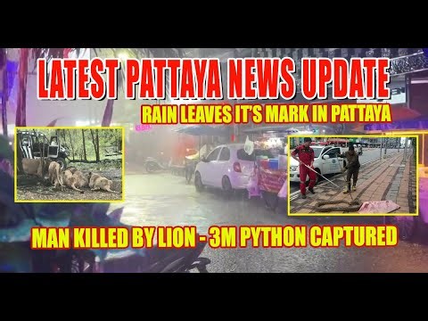Pattaya SHOCKWAVE! 🚨 Missing Tourist, Lion Attack & Beach Cleanup!