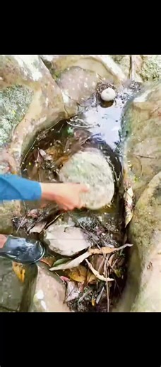 finding gold 💰✨ #golddigger #find #gold #water #fyp