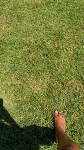 This is just a gentle reminder to back away from the computer put...