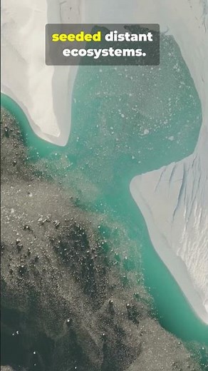 This new study changes everything