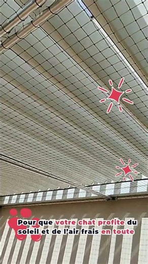 Terrasse sécurisée pour chat : liberté et tranquillité