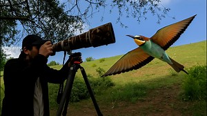 Bird photography at Lake Kerkini – Capturing the Migration