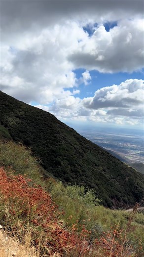 Attention off-road lovers! 🌄 At Whittier Tires & Wheels, we’ve got the best all-terrain tires for your truck or SUV. 🛻 Get top performance, traction, and durability — guaranteed up to 60,000 miles! Grab your full set starting at $899, with installation included! We also offer financing and computerized alignment to keep your ride running smooth. 📍 Visit us at 13029 Imperial Hwy, Whittier, California 📞 Call us at (562) 906-0600 or (562) 413-6926 Whittier Tires & Wheels — Your adventure starts