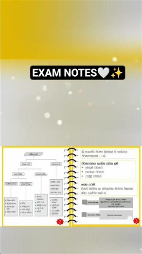 Grade 7 Geography Exam Notes 🔥 | Fast Revision for School Exams 🌍📚