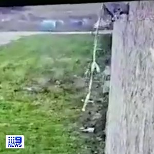 An Italian mafia boss has escaped from a maximum security prison by abseiling down a rope made from knotted bedsheets. Surveillance footage shows mobster Marco Raduano scaling the outer wall of Sardinia's Badu ’e Carro prison, before plunging heavily onto the ground below and bolting away to freedom. #9News | WATCH LIVE 6pm | 9 News Melbourne