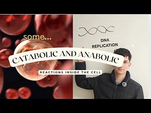 Catabolic and Anabolic reactions inside the cell