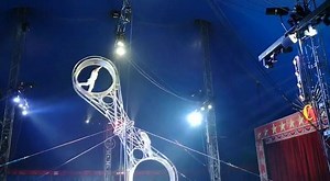 WEEK END AL CIRCO AMERICANO! Un grande show ha solo grandi artisti! American Circus a 3 piste a Torino. Sabato e domenica spettacoli ore 16 e 18.30. Info 348.3337686. Promozioni e prevendite on line su http://bit.ly/PromoCircusTO. www.americancircus.it | American Circus