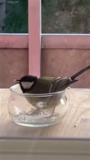 eating inside the cup #greattit