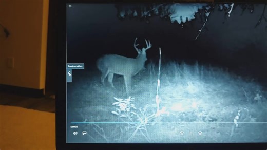 Brandy Nichols. This guy is just like the buck I saw it the Acorn this evening.... | Stan Nichols | Facebook