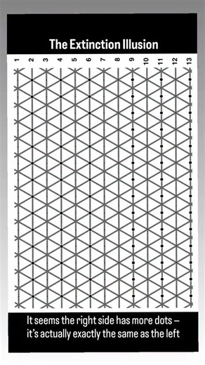 All Around Science (Official) | The Extinction Illusion Credit: J Ninio, K A Stevens It seems the right side has more dots — it’s actually exactly the same as the left... | Instagram