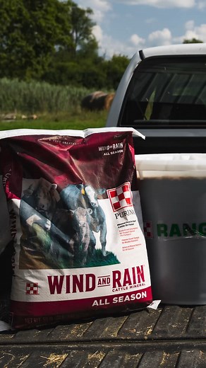 3.2K views · 11 reactions |  Let’s talk proper placement for your protein and mineral tubs. If cattle are tipping them over, using a tire base is an easy fix. Aim for one tub per 25–30 head and place tubs away from the water source to help manage intake. Reach out today with any questions about setting up your tub program. #FeedGreatness #YourLocalPurinaExpert | Purina Sales Specialist Gina Bagby | Facebook