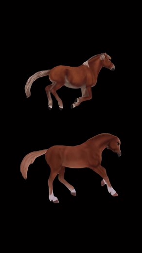 Gotland vs Welsh Pony 🎀 | Welche als nächstes?