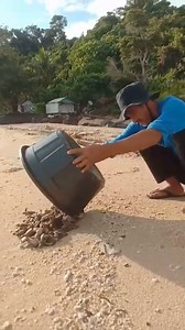 997K views · 663 reactions | There is nothing better than releasing sea turtle hatchlings! Everyday our partner organizations around the world work hard to protect sea turtles to make moments like this possible and it’s funding through our Billion Baby Turtles program that makes this a reality. Video: Pamali Indonesia #seaturtle #ocean #beach #wildlife | SEE Turtles | Facebook