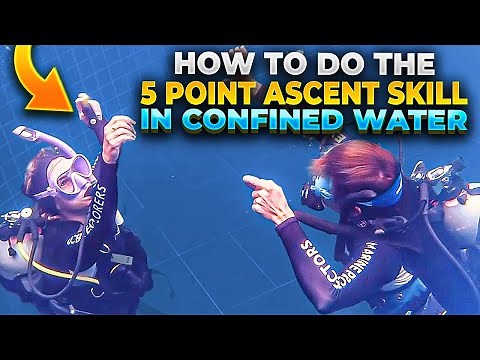 Scuba Diving: How to Perform the 5 Point Ascent Skill in Confined Water | PADI Open Water Course