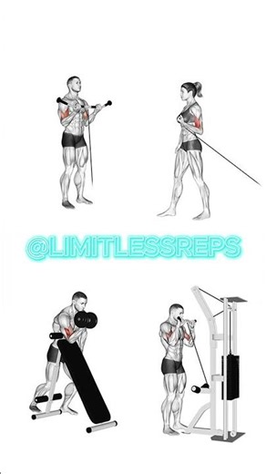 Big Biceps Workout with Cables & Machine 💪 4 Intense Isolation Moves