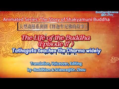 The Life of the Buddha (Episode 17)：Tathagata teaches the Dharma widely