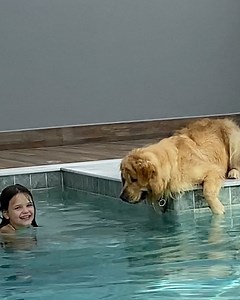 12M views · 75K reactions | When the dog blew bubbles back 凉﫧 | Lessons Learned In Life | Facebook