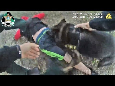 Bodycam Shows Pasco K9 Shep Quickly Takes Down Fleeing Suspect