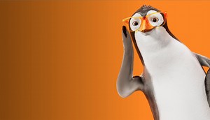 Stanton Optical: Stan the Penguin • Ads of the World™ | Part of The Clio Network