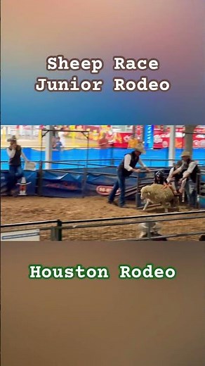 Unbelievable Mutton Busting Sheep 🐏Race with kids at Rodeo Houston Original Audio 🇺🇸 #rodeo