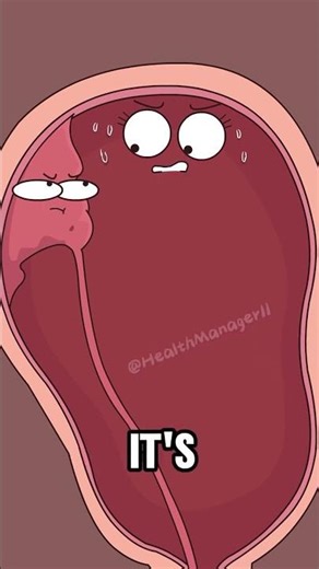 How do doctors manually remove the placenta #foryou #2danimation #biology #didyouknow