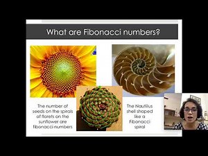 Exploring math using spreadsheets: Fibonacci numbers