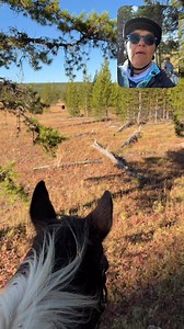 Bison encounters in the Yellowstone backcountry are more terrifying then grizzlies! | Scout's Trail