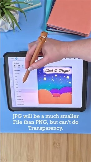 Best Export Options in Procreate (What to Choose)