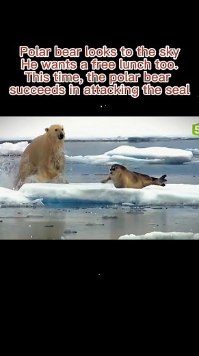 #fypシ #fyp #foryou #for #aminals #rescue #protection #loveanimals #foryou