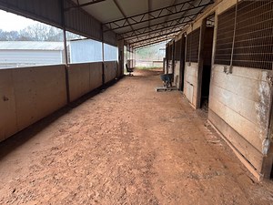 Barn Ventilation And Fan Placement: Keep Your Horses Cool