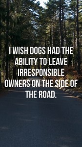 Imagine dogs choosing better lives instead of suffering because of someone else’s neglect. | Daily Paws