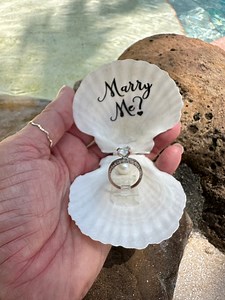 Proposal Seashell Ring Box,beach Ring Holder,getting Engaged Ring Holder,proposal Ring Box, Proposal Seashell,will You Marry Me, Anniversary - Etsy UK