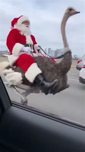 Santa’s Funniest Christmas Moment Ever 😂 #FunnySanta #ChristmasFails #SantaClaus #ChristmasComedy