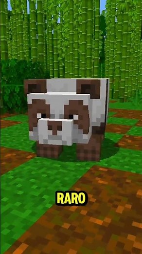 Todos los Tipos de Panda en Minecraft 🐼
