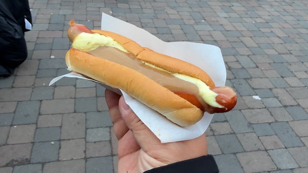 5 Street Foods You NEED to Try in Iceland (Local Favorites!)