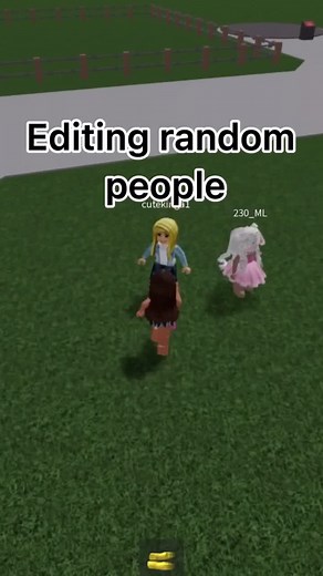 Editing Random People in Ragdoll Engine