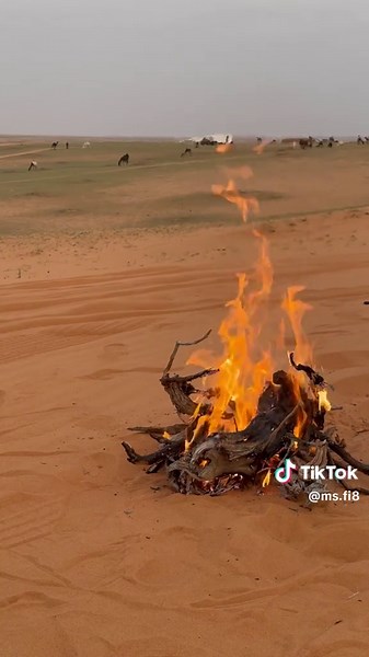 ‏#منكوس_مسحوب_قصيد_شعر #اكسبلور