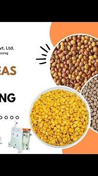 Pigeon Peas (Tur Dal) Processing | Navasasyam Dandekar | +919767774430