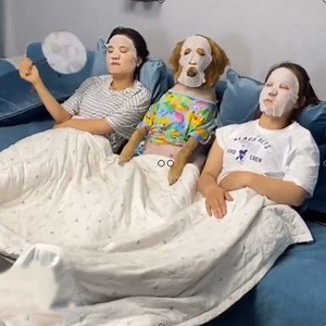 Bored at home, what to do? … | Dogs Daily